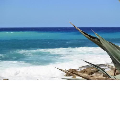 Kissonerga beach apartment