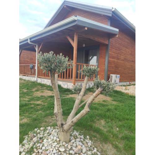 Koruwoodenhouse