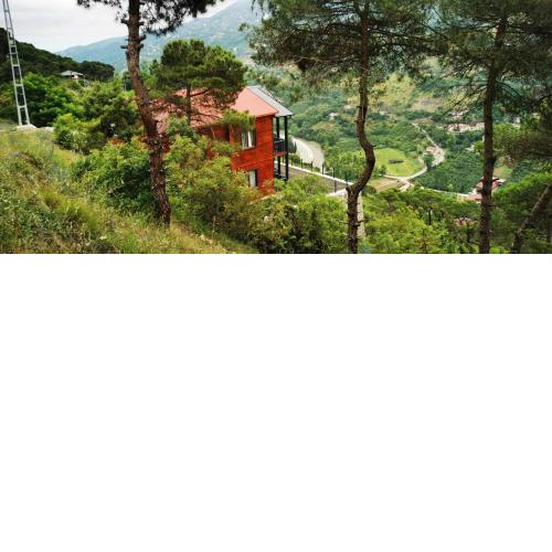 Kozalak Forest Mansion