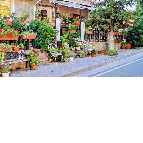 Kyperounta Troodos mountain house