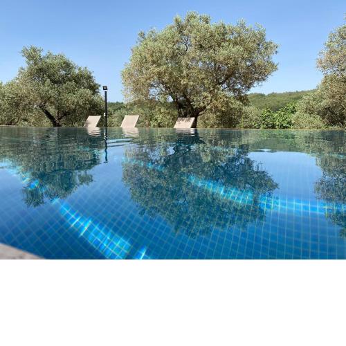 Lamin House