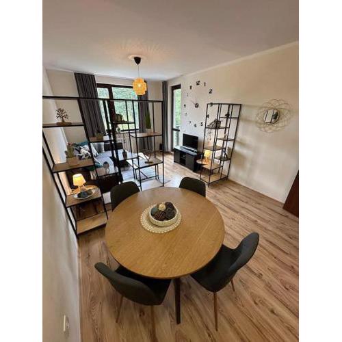 large apartment in Borovets