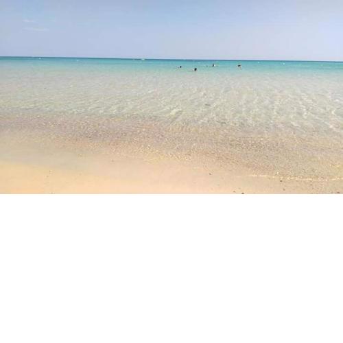 Le lagon de Hammamet