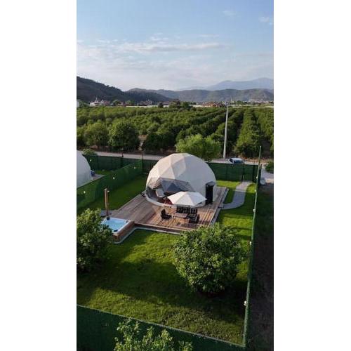 Lemon GlampingDome