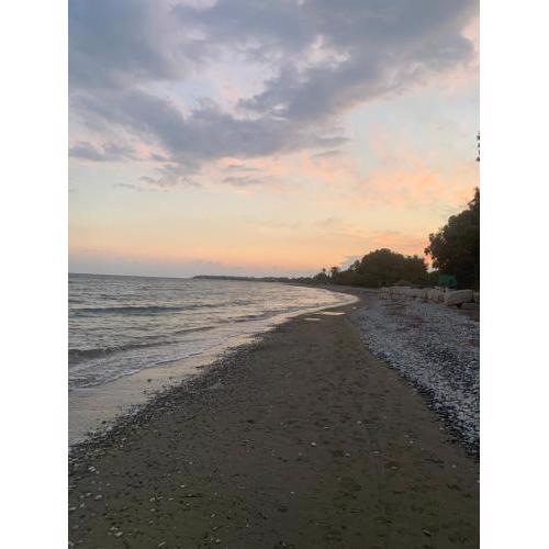 Leonidas Seaside