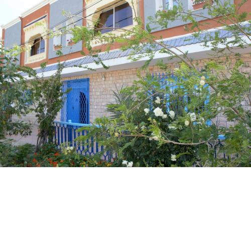 L'Hirondelle de Kelibia : Chez Amou