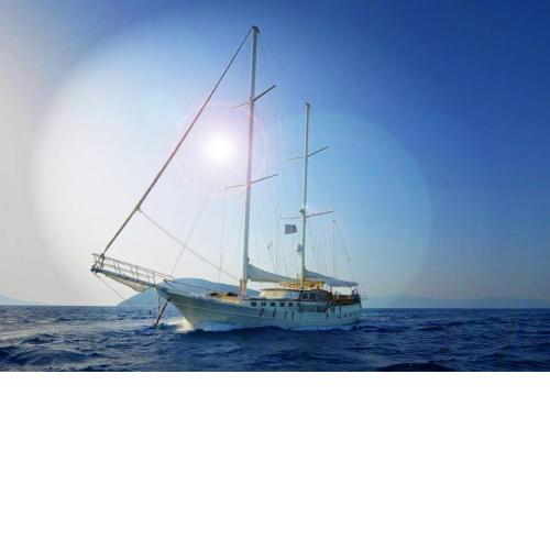 Liberte 11