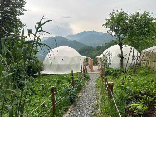 LİMKHONA DOME - CHALET