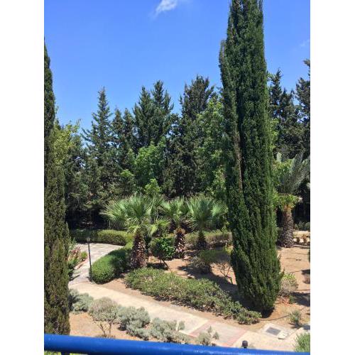 Limnaria Villas Kato Paphos - wonderful villa near the beach and all facilities