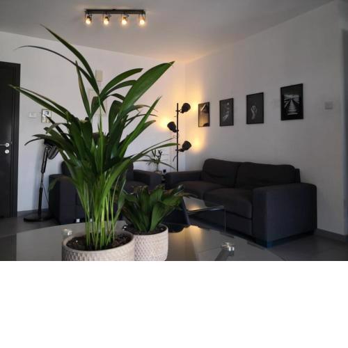 Loizou Holdings Flat 301