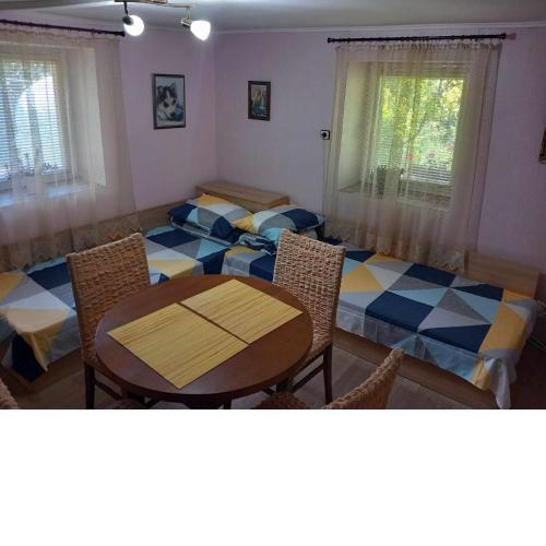 Lovely studio in Dragoman with garden and garage