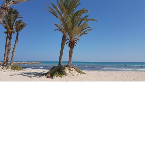 Ltifi Villas Djerba
