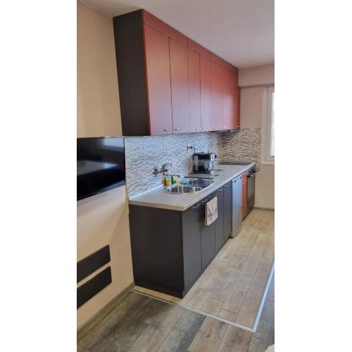 Lux apartment