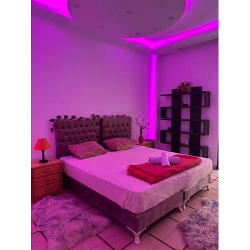 Luxurious in Heart of Tunis