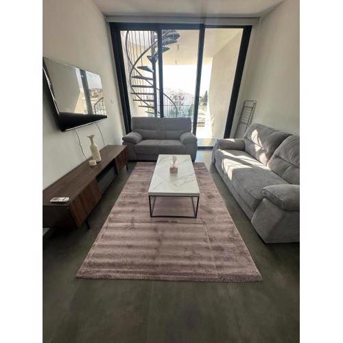 Luxurious two bedroom apartment with roof garden