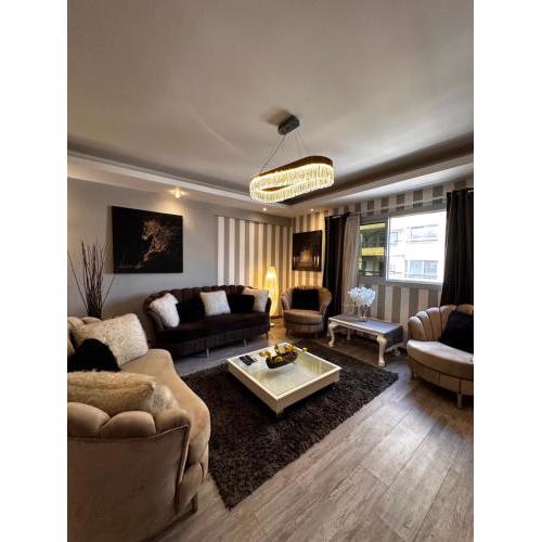 Luxury apartment close to all shopping malls