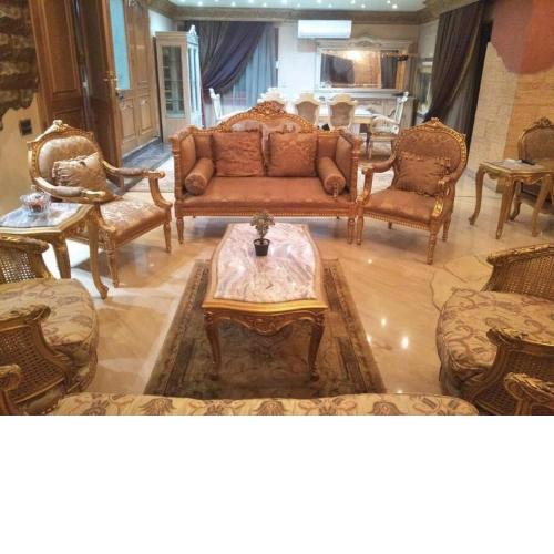 *Luxury Apartment in Cairo*