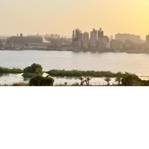 Luxury Apartment Tree Nile