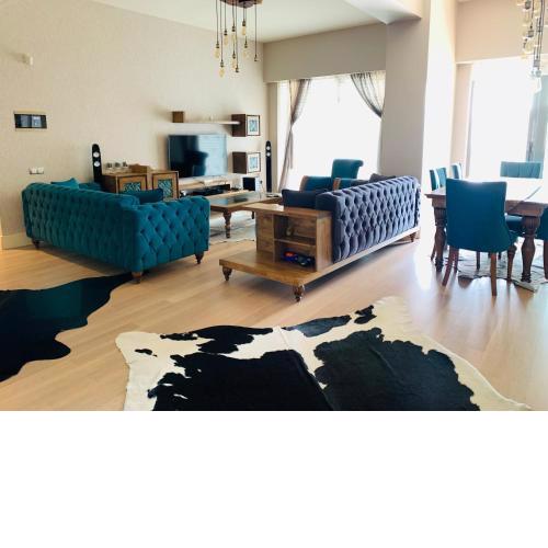 Luxury Flat for Embassies & GM