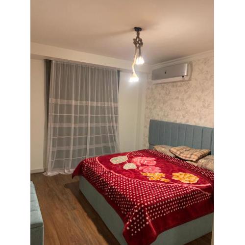 Luxury furnished apartment 223