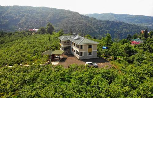Luxury Nature Life Villa