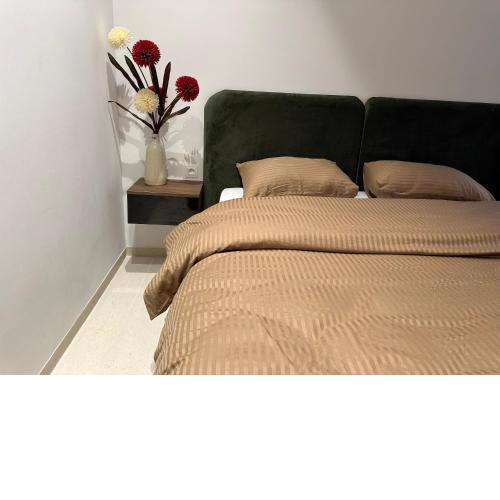 Luxury two bedrooms apartment jardin carthage