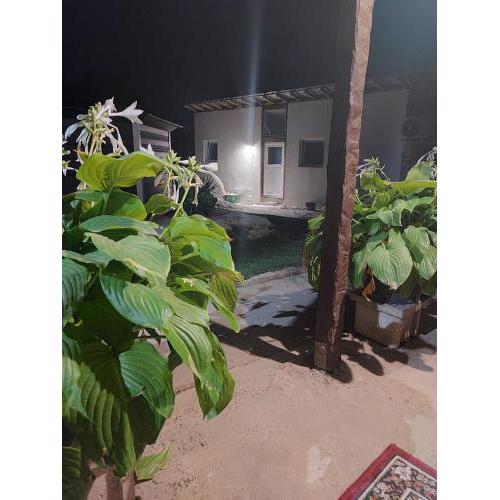 Lymore Guest house