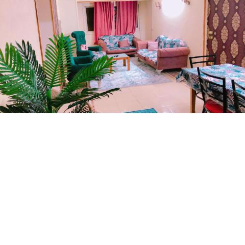 Maadi ring road Family apartment