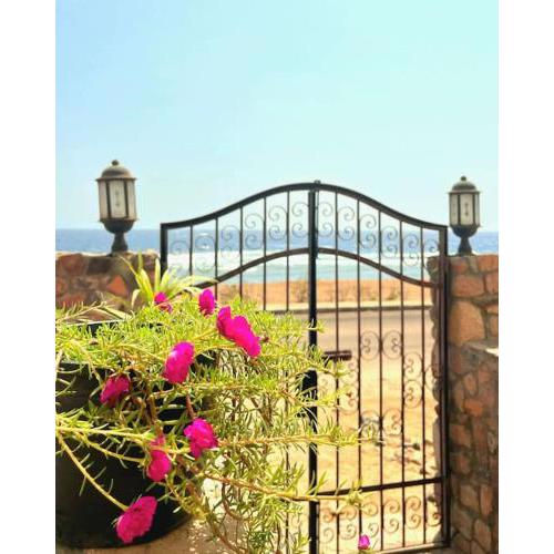 Mandala Lodge Beachfront Seaview Apt 1