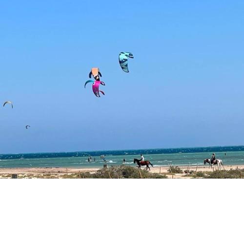 Mangroovy Gouna 1 BR apartment