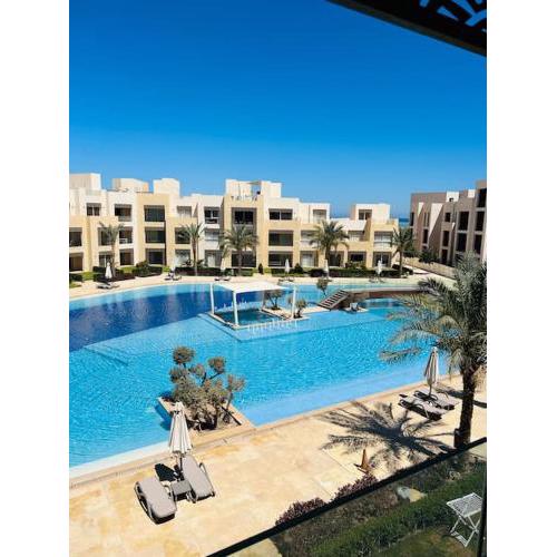 Mangroovy, Red Sea, El gouna