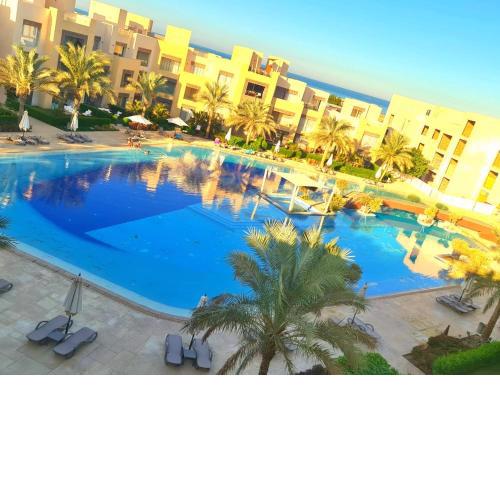 Mangrove Elgouna