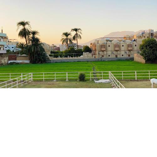 Menna-guest house