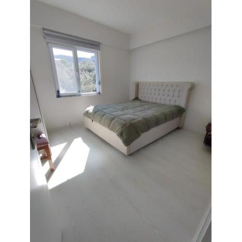 Mercury Beds