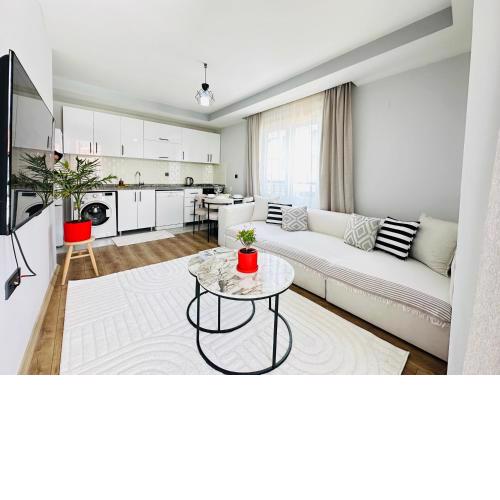 merkezde 2 odalı minimalist ev