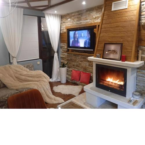 Mila VIP Apartment