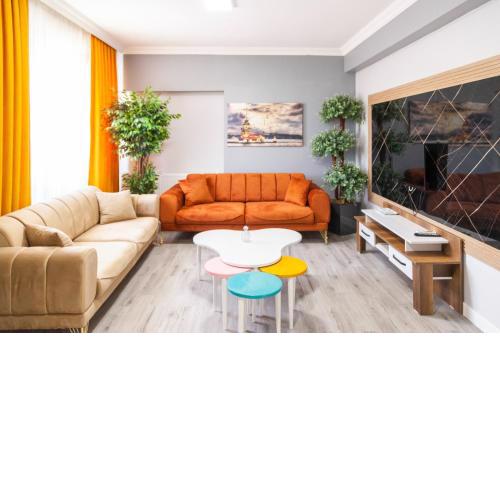 MİMOZA BUSİNESS PLUS apart