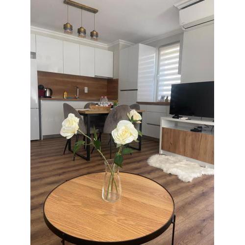 M&M Center Apartment with free parking