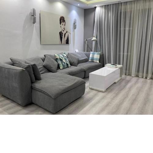Modern apartment