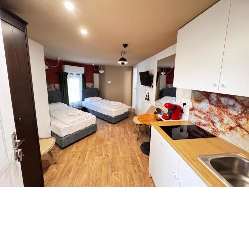 Modern Studio N9 Kitchenette Bathroom