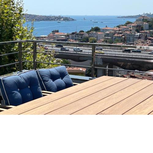 Mona Bosphorus