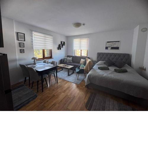 Mountain view Lux Apartment