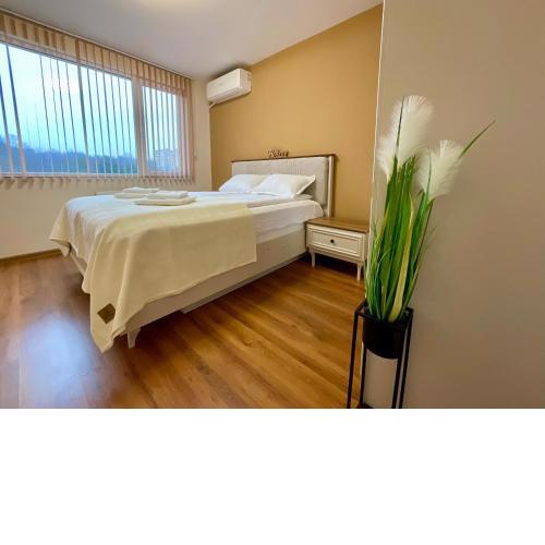 Nataly Homes 2