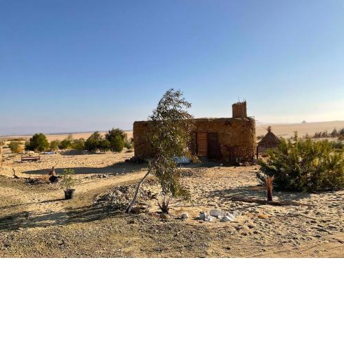 Natural house in Siwa