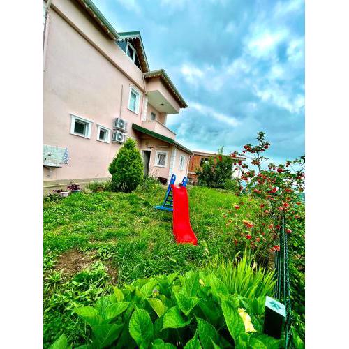 Nature Family House