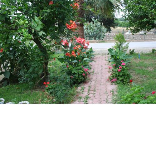 Naz Apartlari Cirali