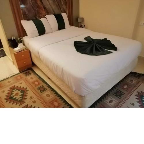 Nb Nfr pyramids INN