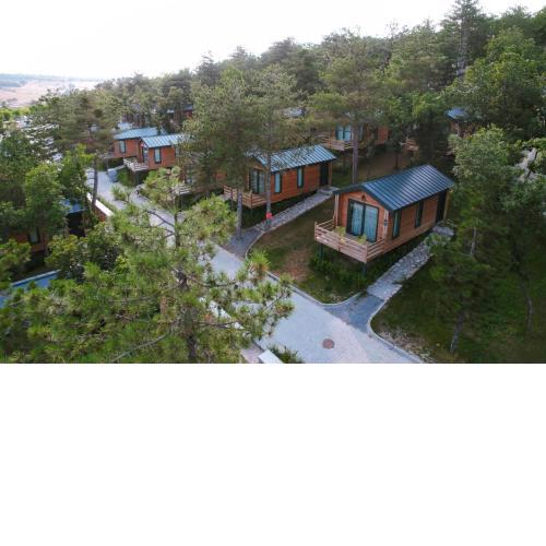Nefes Dağyenice Doğada