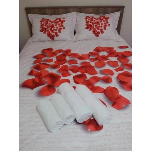 Nelly Guesthouse