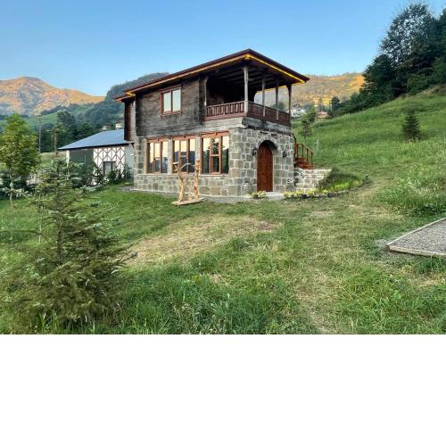 Nero House